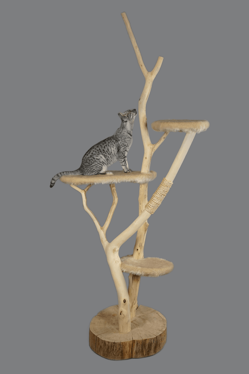 Cat Scratching Post – 50 cm, Jute