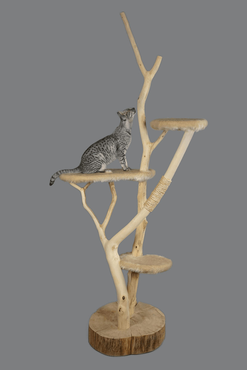 Cat Scratching Post – 50 cm, Jute