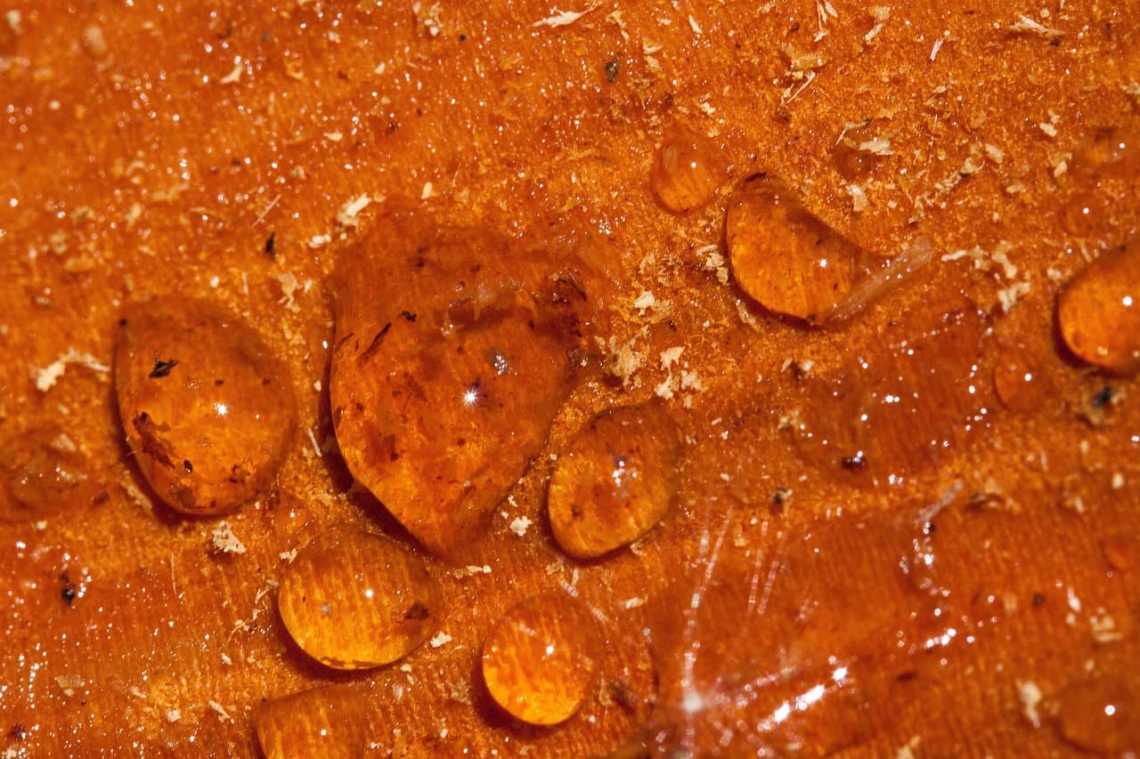 Epoxy Resin – Casting Grade