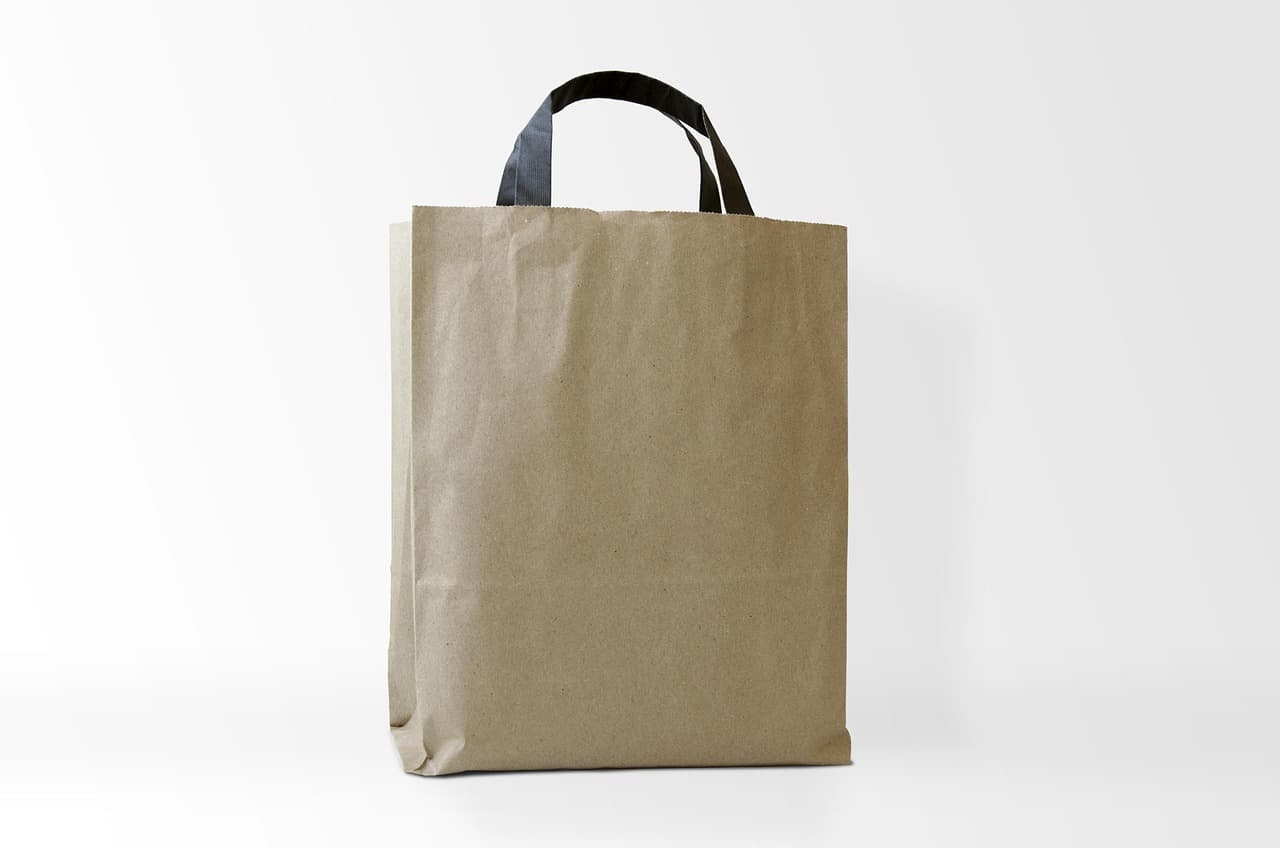 Kraft Paper Carry Bag – Large, Flat Paper
