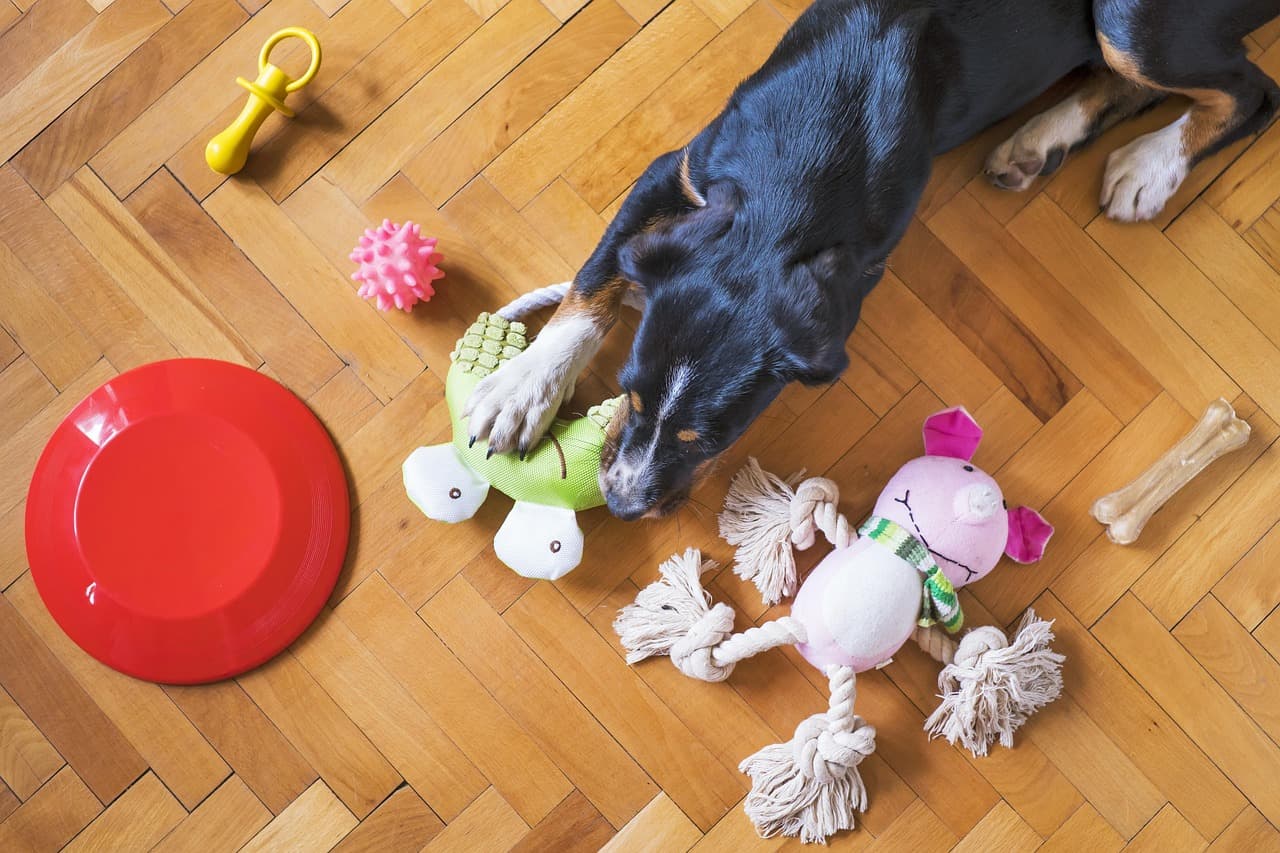 Rubber Chew Toy – Ball, L