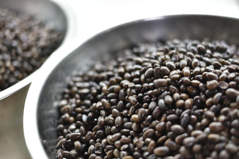 Soybean Meal (DOC) – 48%, Feed Grade