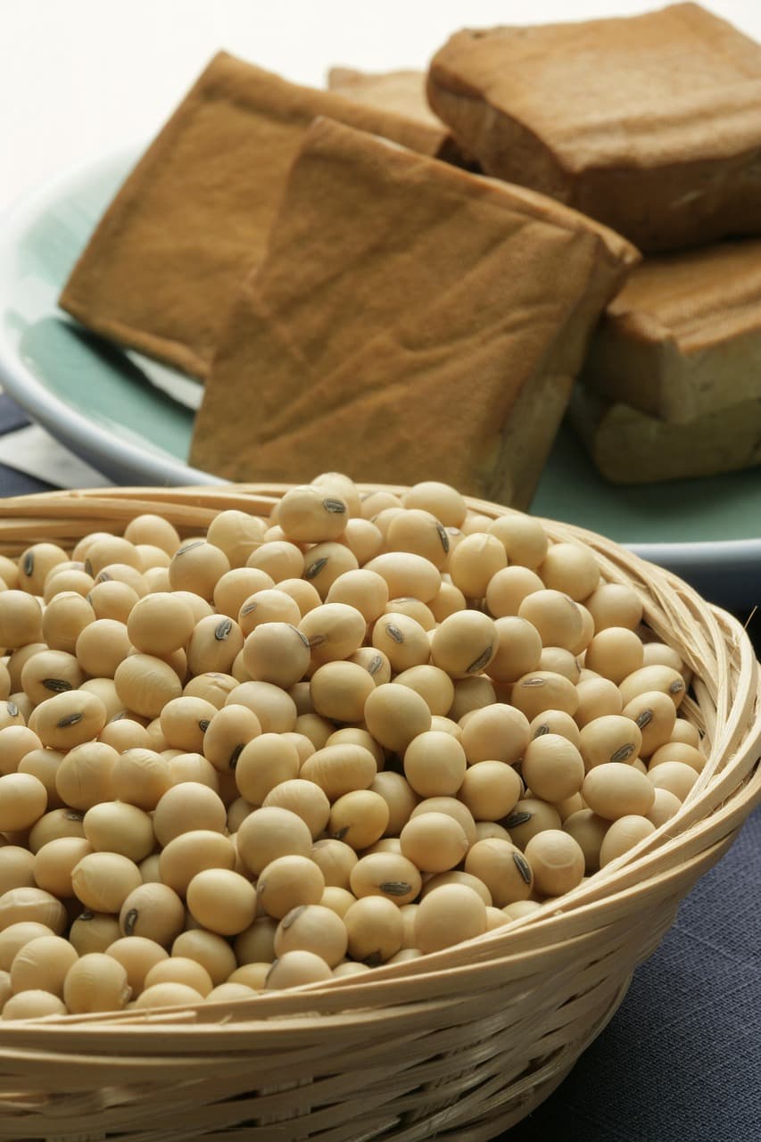 Soybean Meal (DOC) – 48%, Feed Grade